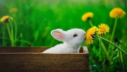 kaiyun开云·官方网站-高校篮球推广体能恢复课程延长运动员竞技寿命，高校篮球现状