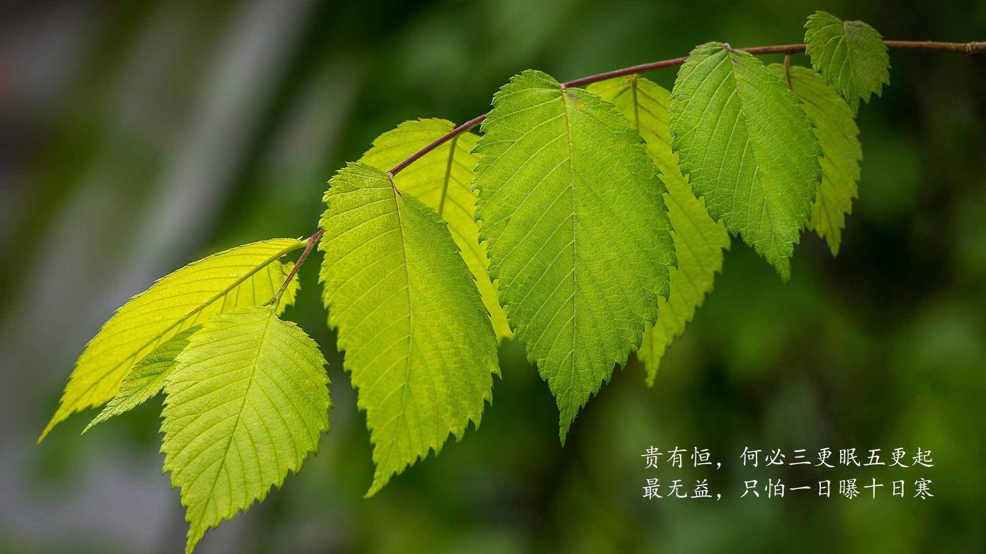 _热火铁血防守，锁死对手反扑_，热血铁军