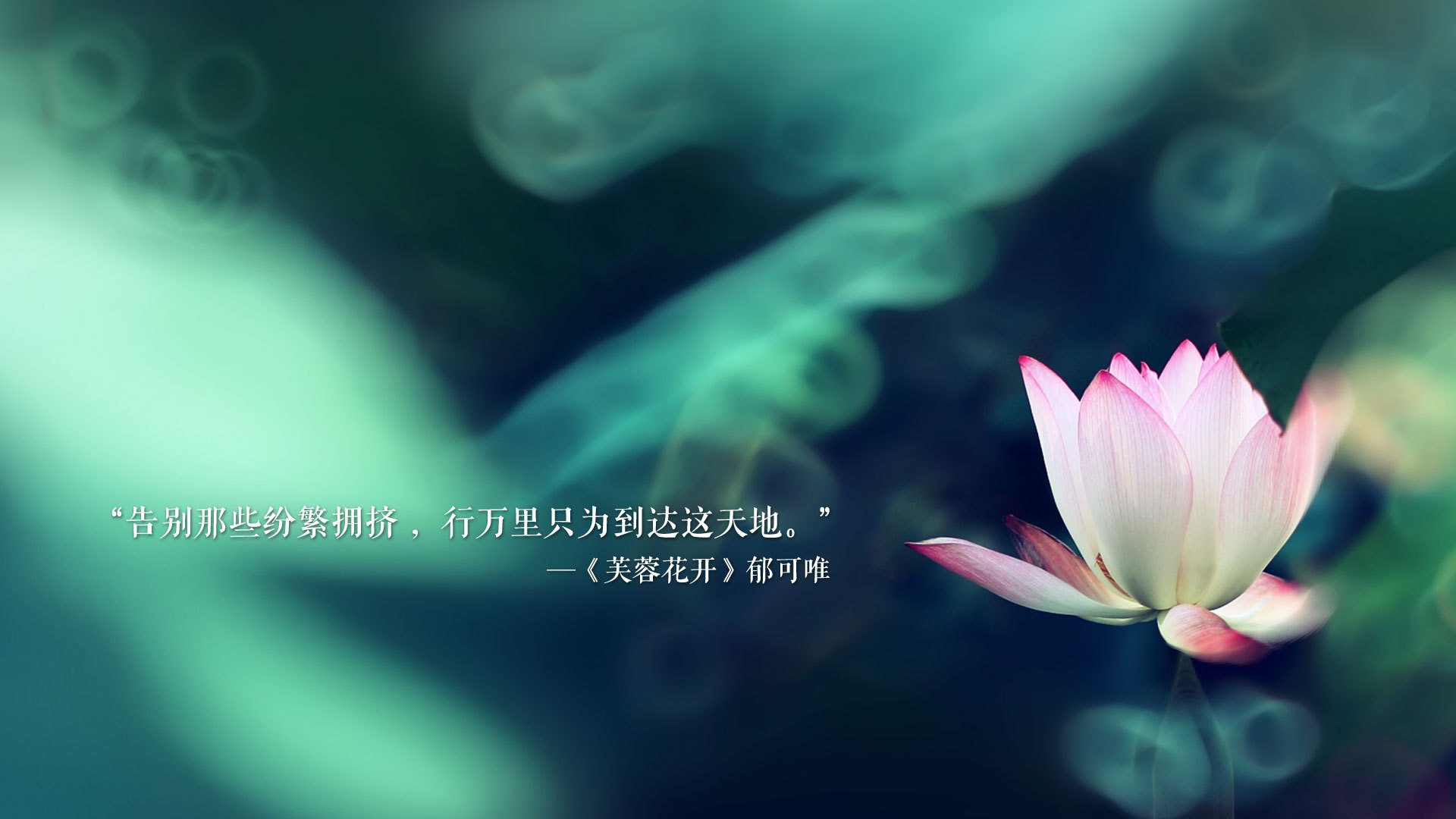 以球会友：足球公益赛事盛大举行，以球会友 以赛传情