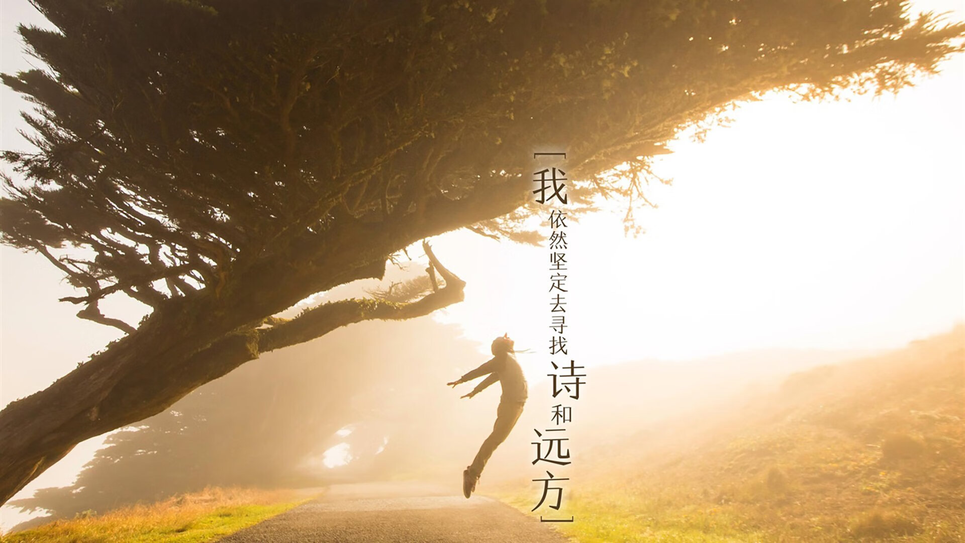 意甲赛季精彩不断，表现突出的球员颜值与实力兼备，意甲球队赛季排名