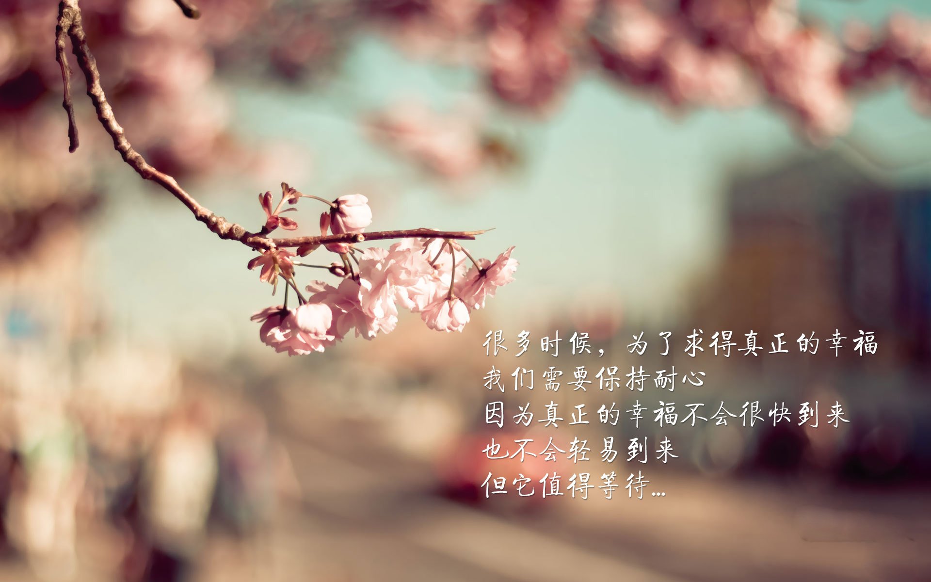 赛后专访：李明坦言“团队合作是获胜关键”，球员 李明