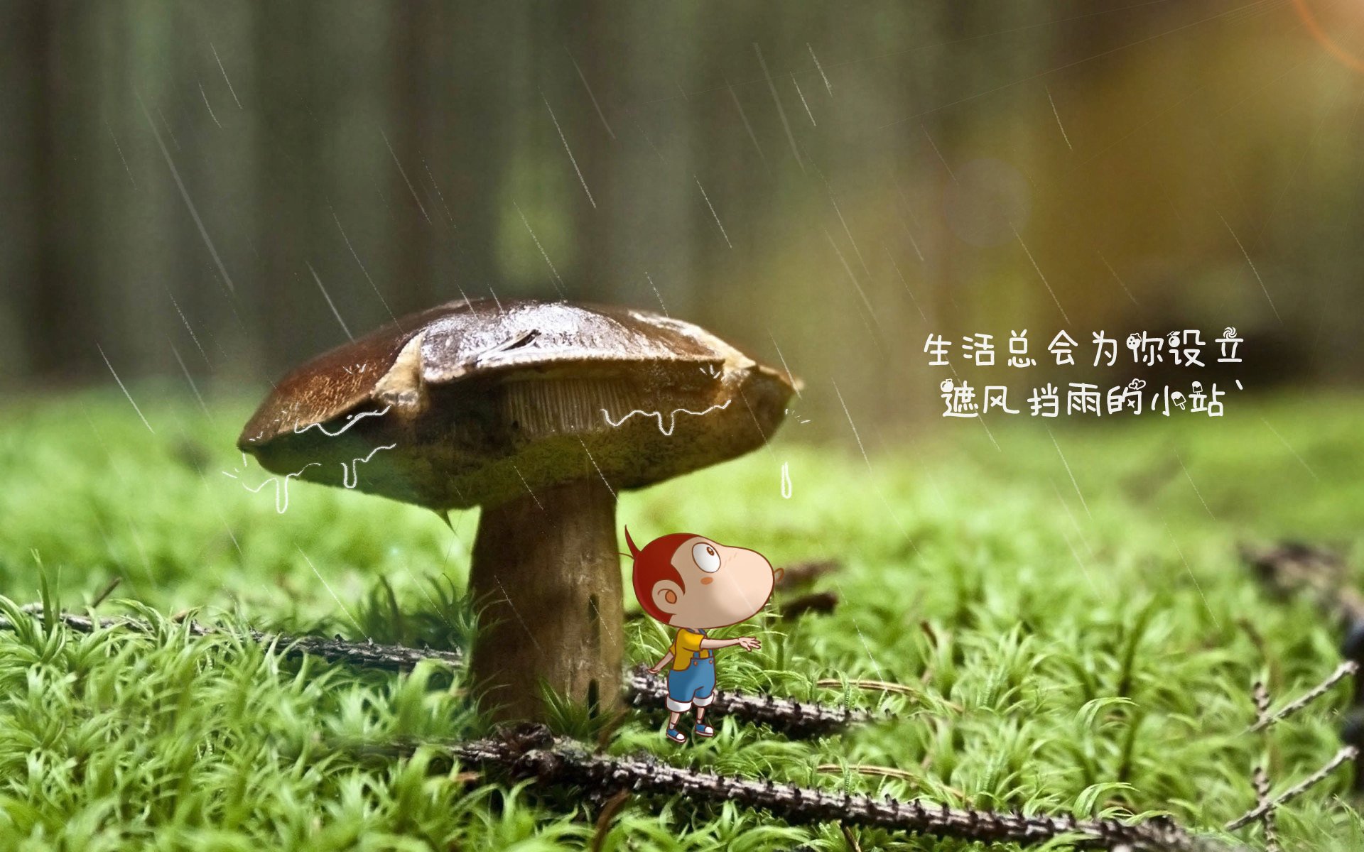 曼联在主场爆冷战胜劲敌，积分榜上升新高度