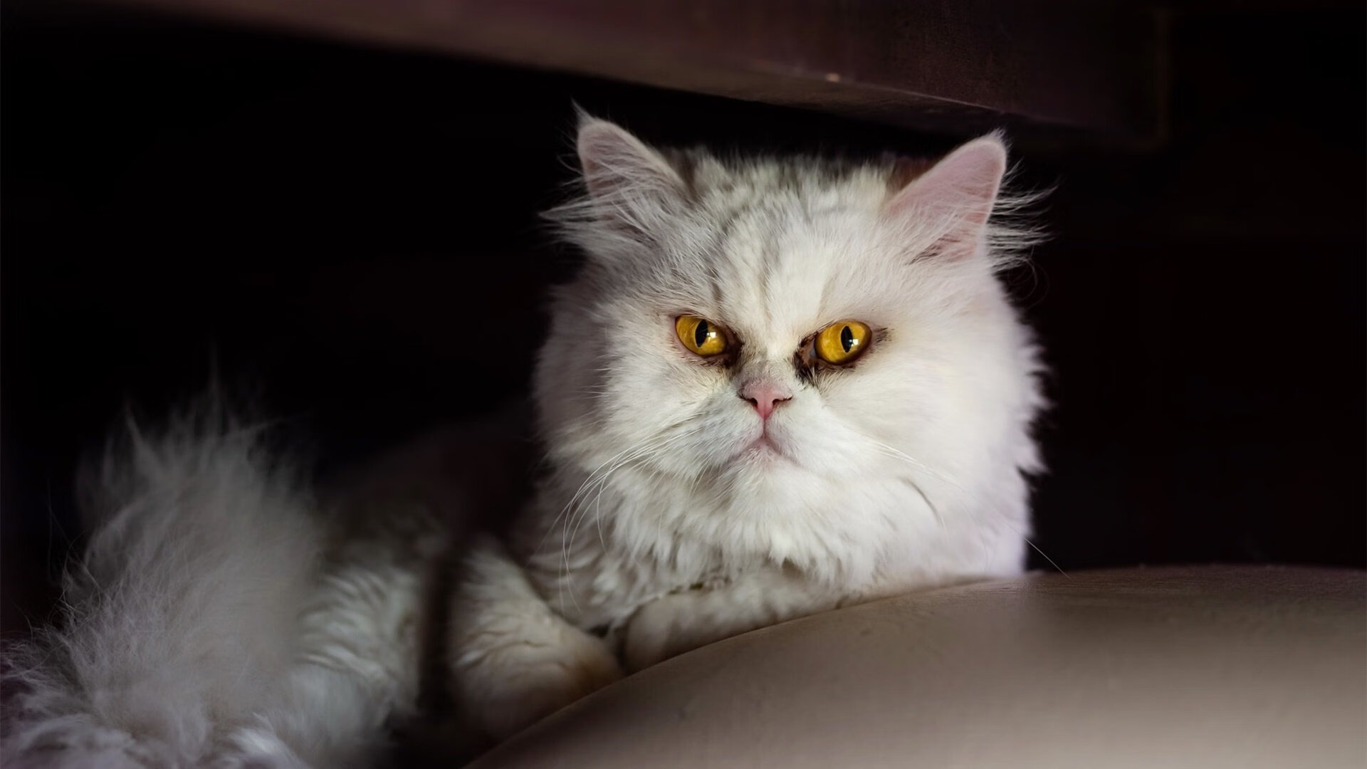 kaiyun开云·官方网站-西甲攻防对撞：精彩瞬间不停上演！，西甲比赛分析gmanbetx