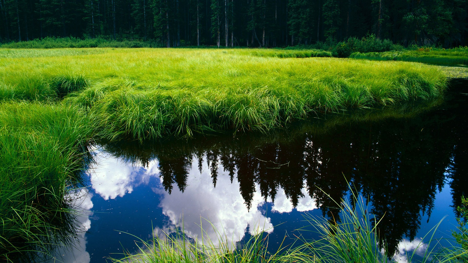 青少年足球创新教材引入多媒体互动技术,增强学习趣味性,青少年足球训练教案app